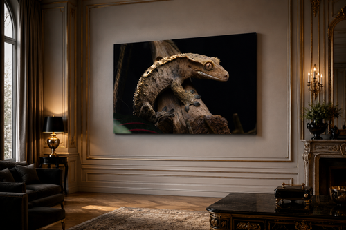 Crested Gecko - Limited Edition