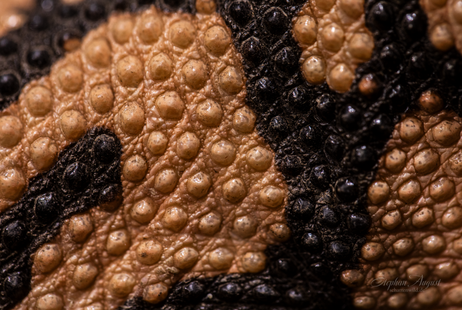 Im Detail